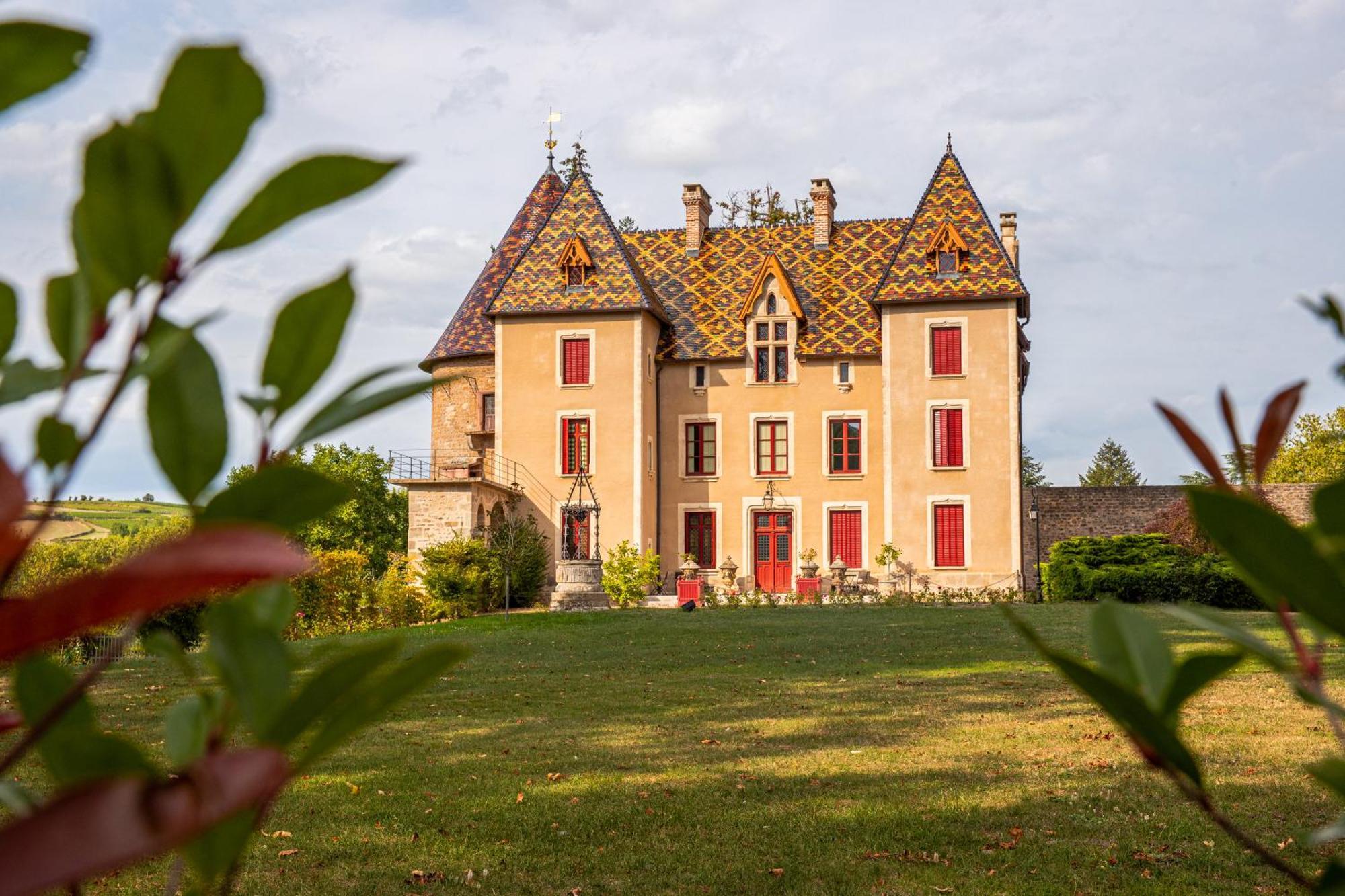 Chateau De La Grange Saint-Emiland Экстерьер фото