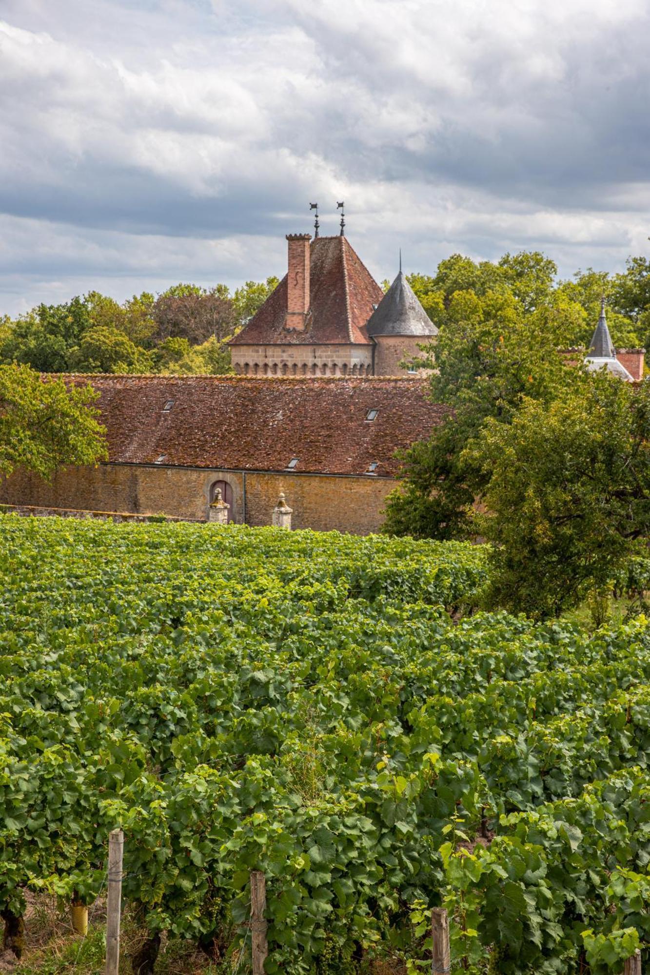 Chateau De La Grange Saint-Emiland Экстерьер фото